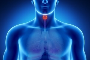 thyroid treatment LA